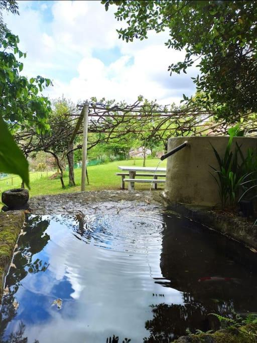 A Vina De Lina. Turismo Rural Con Piscina Y Finca. Villa Pontevedra Dış mekan fotoğraf