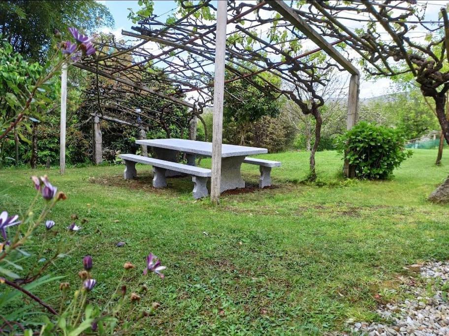 A Vina De Lina. Turismo Rural Con Piscina Y Finca. Villa Pontevedra Dış mekan fotoğraf